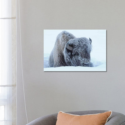 Frosty 1 Piece Wrapped Canvas Wall Art