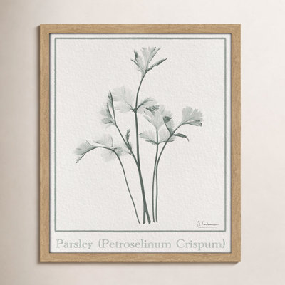 Jeanette "Parsley II" Print by Albert Koetsier