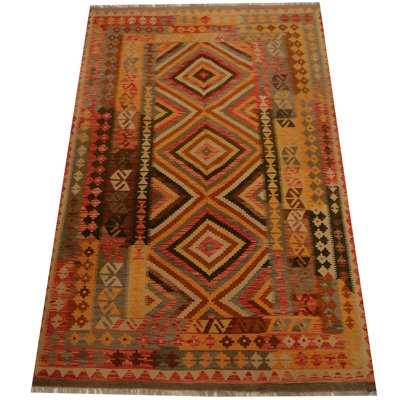 Azpeitia Wool Southwestern Indoor Rug