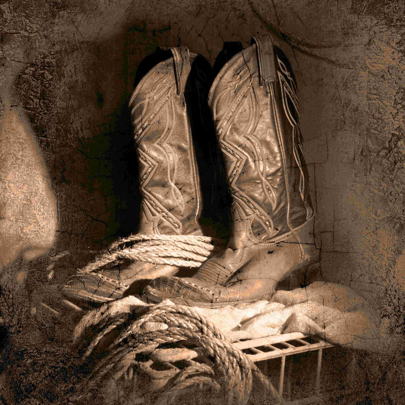 " Cowboy Boots ", 12" H x 12" W