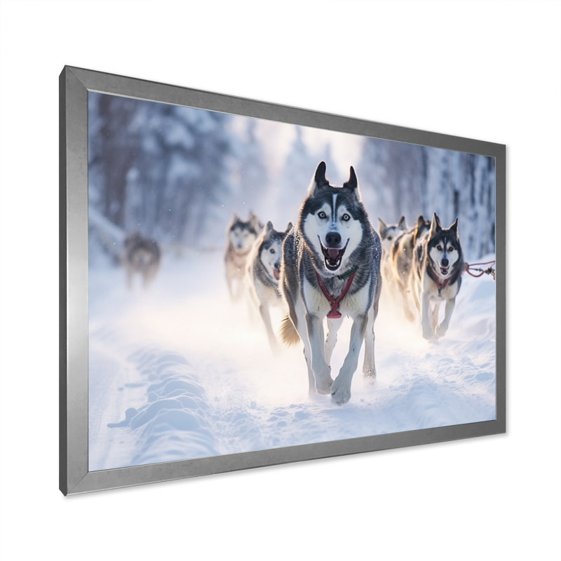 «Alaska Dog Sledding II», reproduction sur toile, H 24 po x l 32 po x P 1 po, Cadre photo argenté