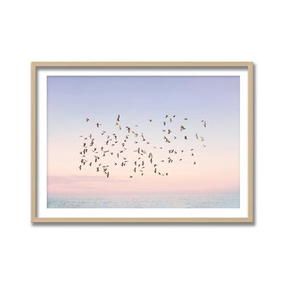 Nature Inspired Sunset Flight by  - Picture Frame Photograph on Paper