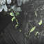 Nature morte fleurs I une toile texturée embellie à la main-92376300
