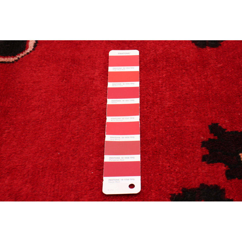 Tapis rouge nouvel âge 3 pi 11 po x 6 pi 11 po Azania
