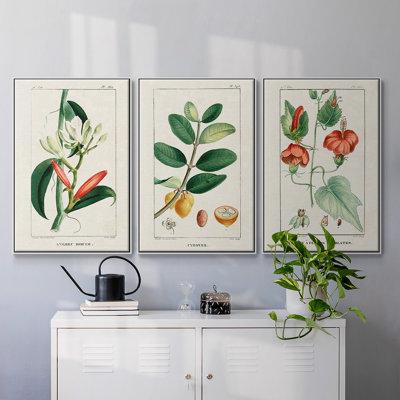 Turpin Tropical Botanicals IV