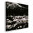 C37 V33-Gallery Wrapped Canvas-277160170