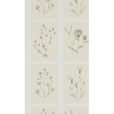 Thistles 10.05m x 52cm Matte Wallpaper Roll