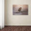 «House Finch in Jan», impression sur toile tendue Vidur-22076997