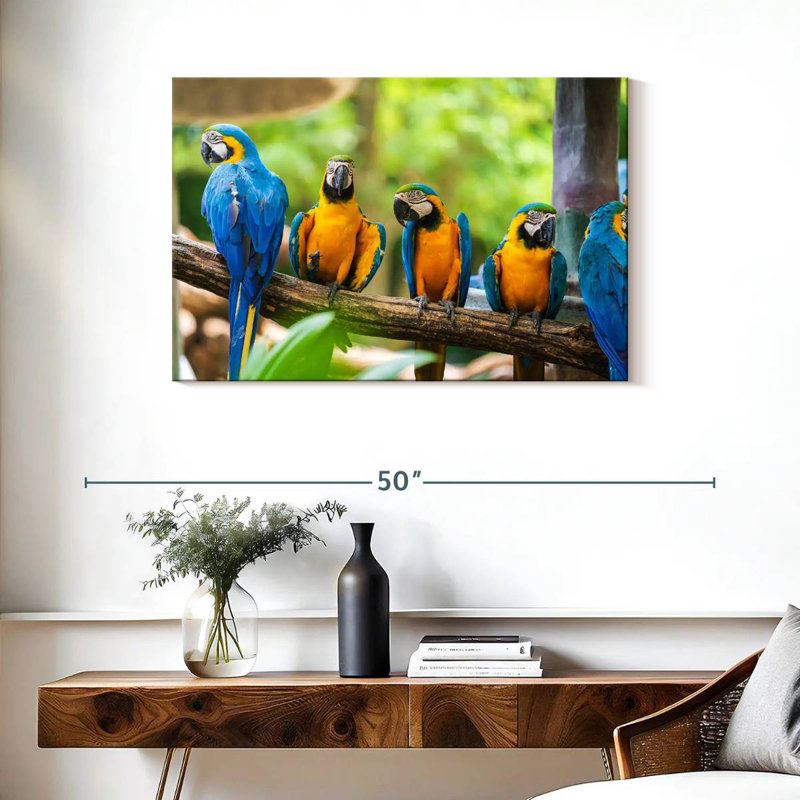 Brampt Macaw Party