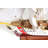 Model Ship