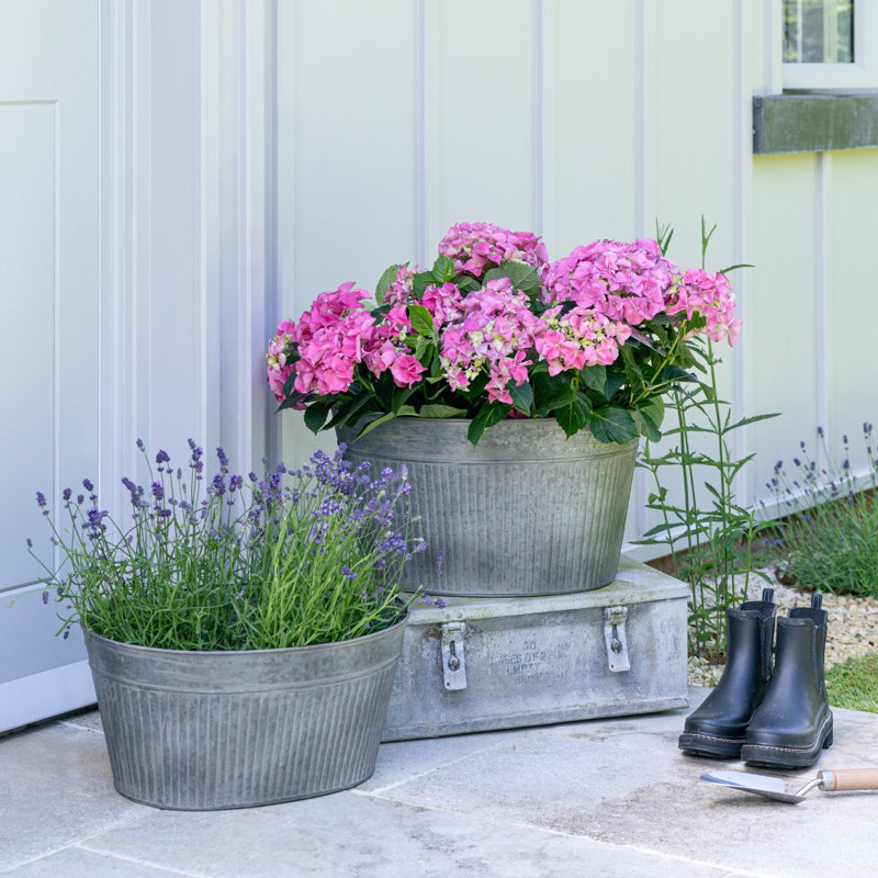 Outdoor Galvanised Trough H23cm W38cm, 23cm H x 49cm W x 14.96cm D
