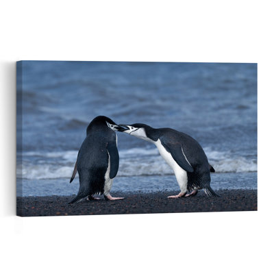 Sweet Penguin Kiss Contemporary Bird Penguin Beach Wall Art Print 1 Piece Wrapped Canvas Wall Art