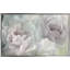 Peony Lace par Nan - photographie-64742568-64742569