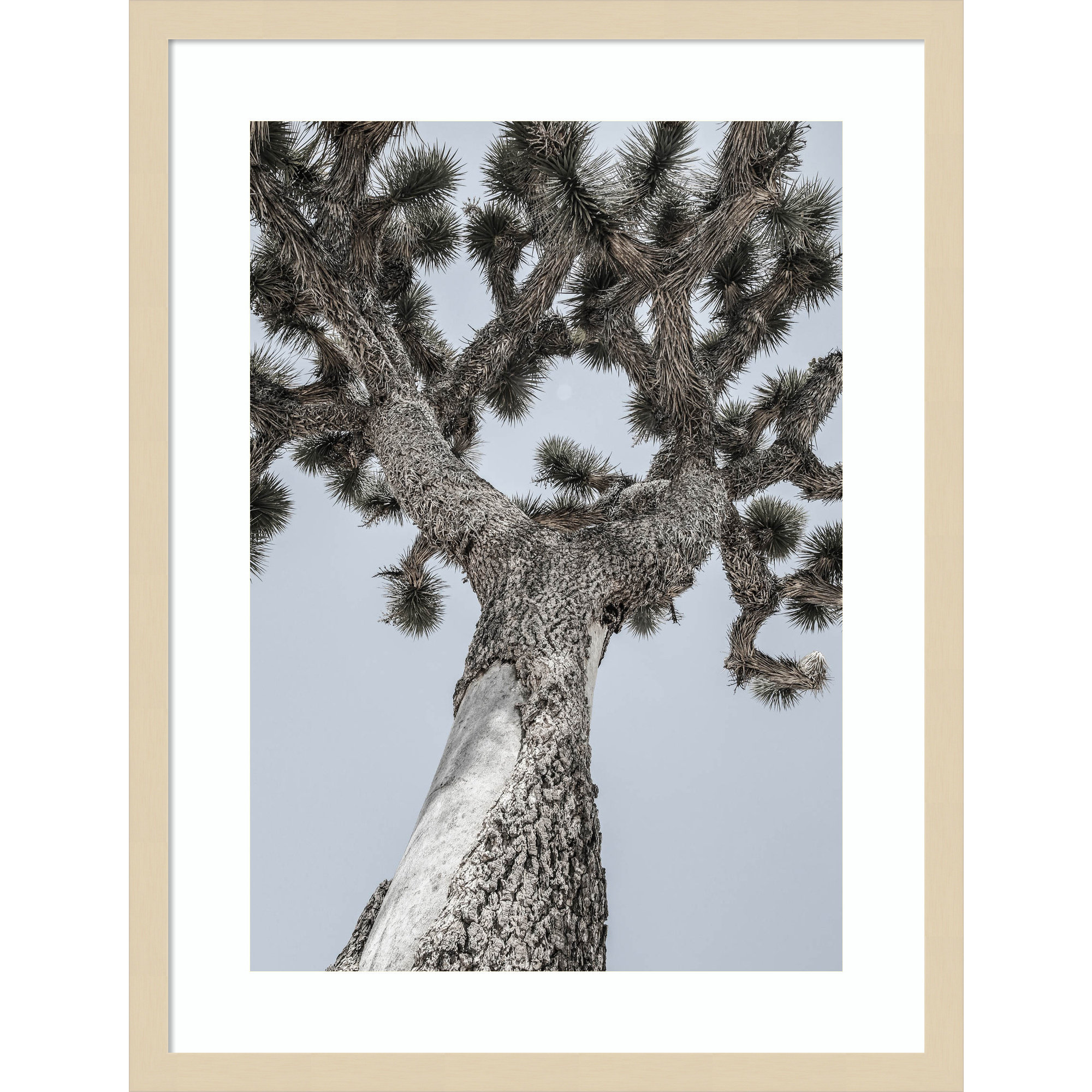 Joshua by Shot by Clint Wood Framed Wall Art Print, Brown , 25" H x 19" W