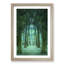 Forest Arch in Abstract - Framed Print-55577835-55577831