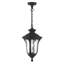Luminaire suspendu d'extérieur Arelene-1106479152-1127152991