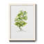 L’arbre II - Impression sur papier encadré-1196537456-1196537457