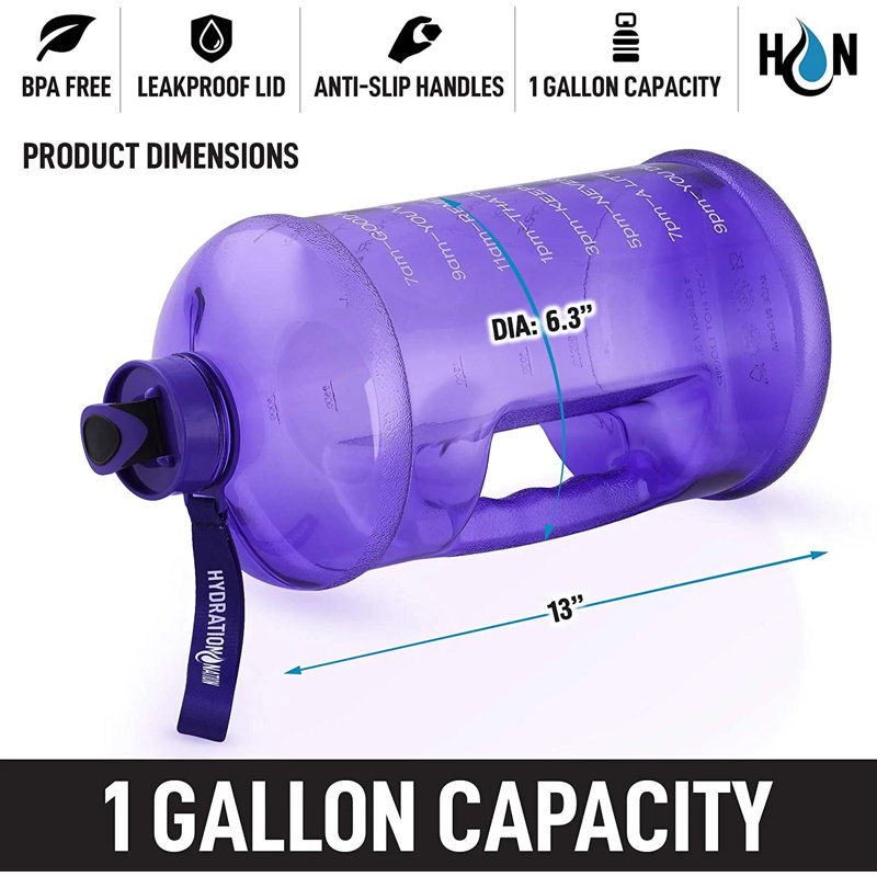 Bouteille d'eau portative avec infuseur de fruits Hydration Nation pour une boisson saine et délicieuse, Mauve