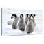 Brampt charmants poussins pingouins-108816373