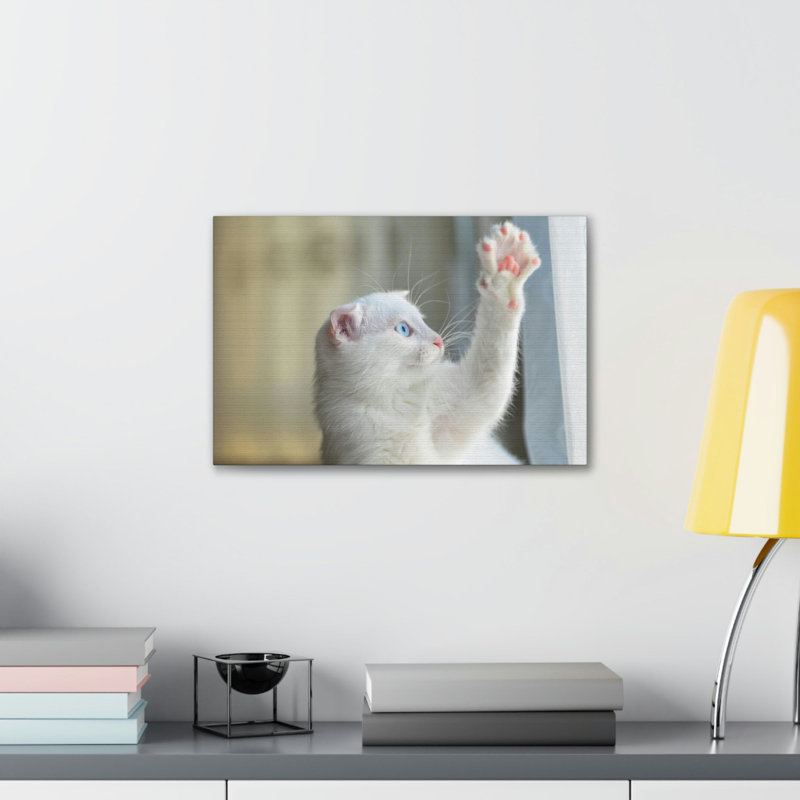 Illustration amusante d'un chat sauvage amusant, H 12 po x l 16 po
