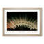 Aurora Borealis by E. L. Trouvelot - Framed Print-57844453-57844452