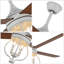 Ventilateur de plafond à cage 48 po avec lumière et télécommande Kahliel-507768121-507656237