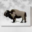 Toile tendue monochrome Bison II-Gallery-1299499796