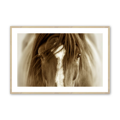 Cullman Majestic Wonder, encadré sur papier par Lisa Dearing, photographie