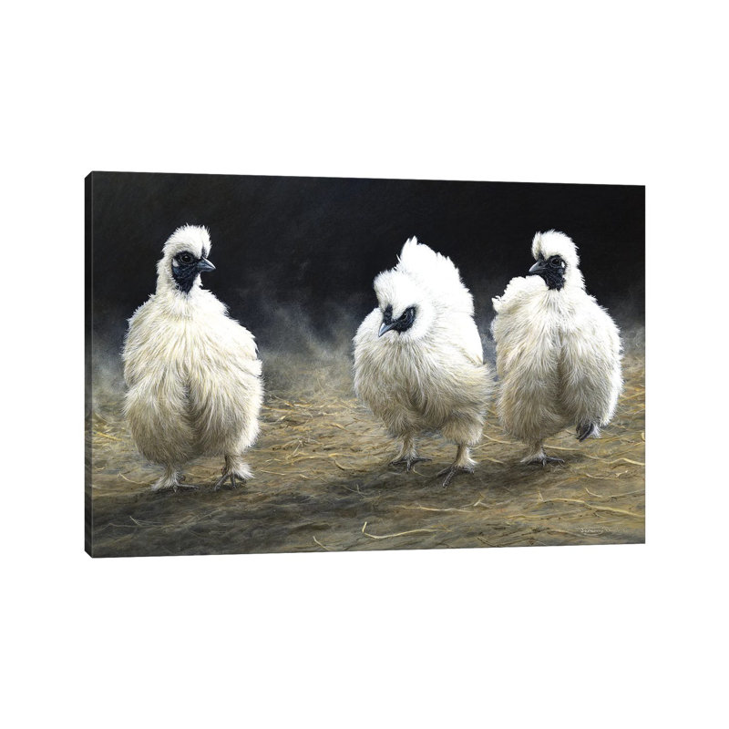 Dust Devils - Silkies by Jeremy Paul - Wrapped Canvas Gallery-Wrapped Canvas Giclée, 20.32cm H x 30.48cm W