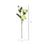 Mini jet de pivoines-554940473