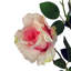 Artificial Arrangement-106401574