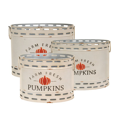 Gracie Oaks Decorative Bin