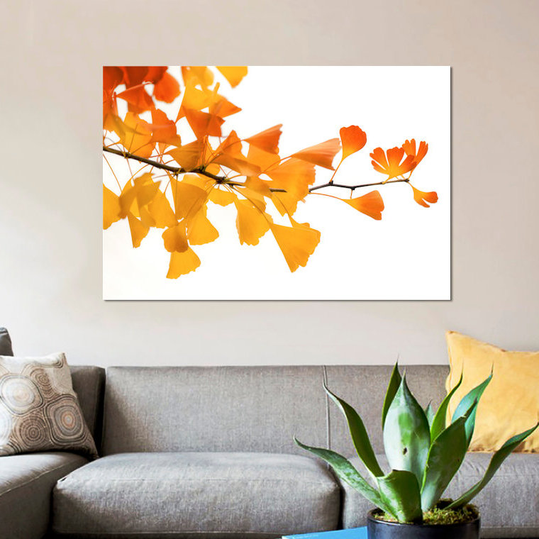 «Ginkgos Subtle Shades», reproduction de photo sur toile, H 8 po x l 12 po x P 0,75 po