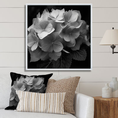 " Grey White Hydrangea Bloom III "