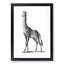 Giraffe in Black & White by George Shaw - Picture Frame Drawing Print-55620837-55620838