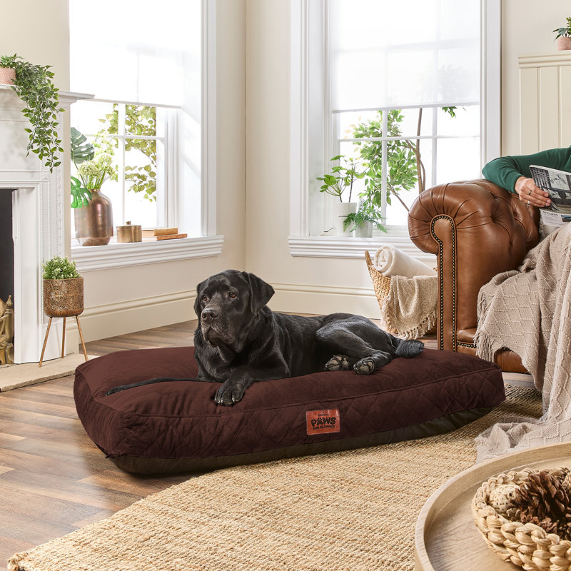 Slumberdown Paws for Slumber Raised Padded Dog Bed – Comfortable, Supportive & Durable Pet Bed for All Breeds, Navy