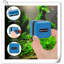 Accessoire d'aquarium Everetta
