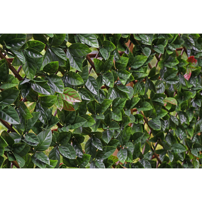 100cm Faux Foliage Hedge