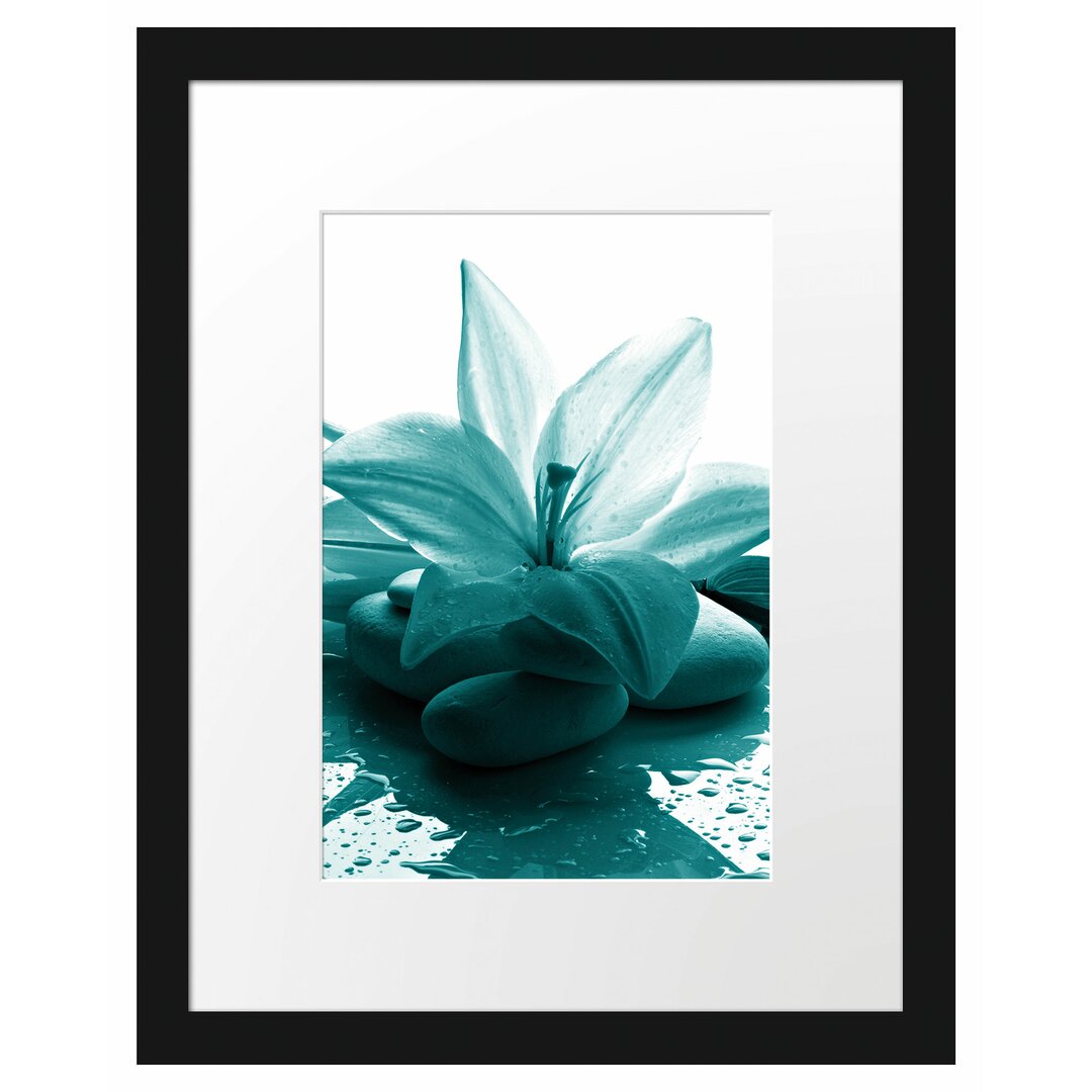 Gerahmtes Poster Blaue Lilie und Tulpe