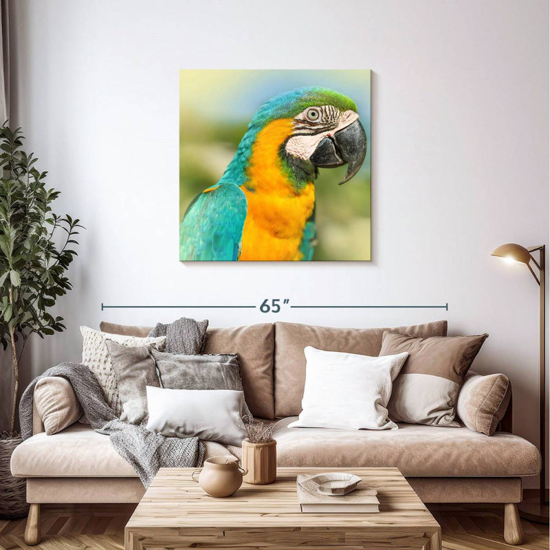 Brampt Parrot, 36" H x 36" W