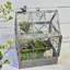 Terrarium en verre vintage avec couvercle - Serre rustique pour plantes grasses