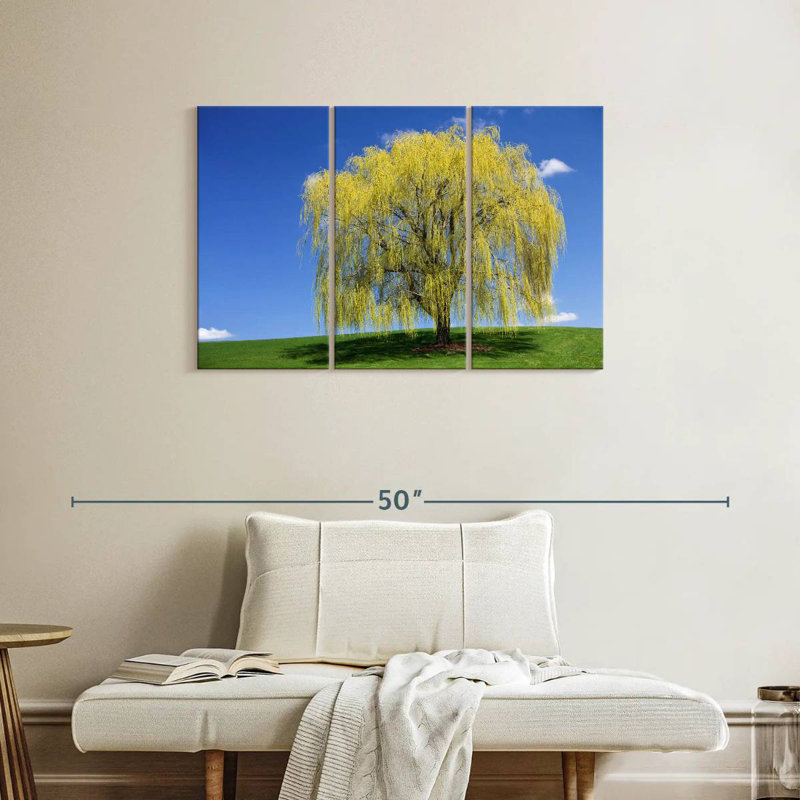 Harnek Spring Weeping Willow, 24" H x 38" W