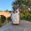 Statue de jardin hibou