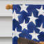 Polyester à 2 côtés 28 x 40 po drapeau maison-1879434043