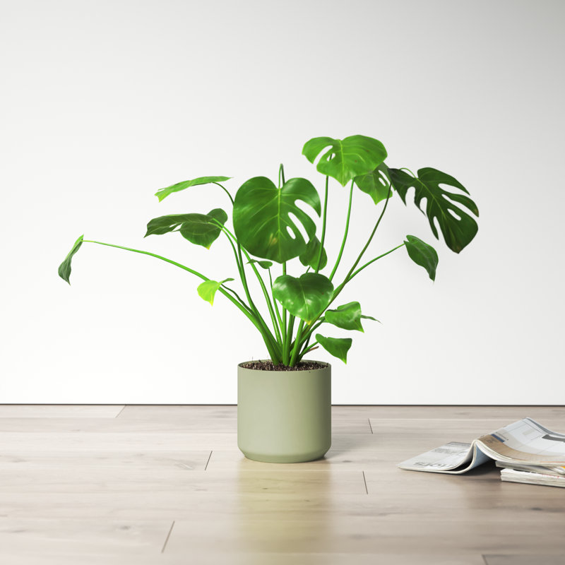 Pot à fleurs en céramique Parsons, Vert, H 6,75 po x l 7 po x P 7 po
