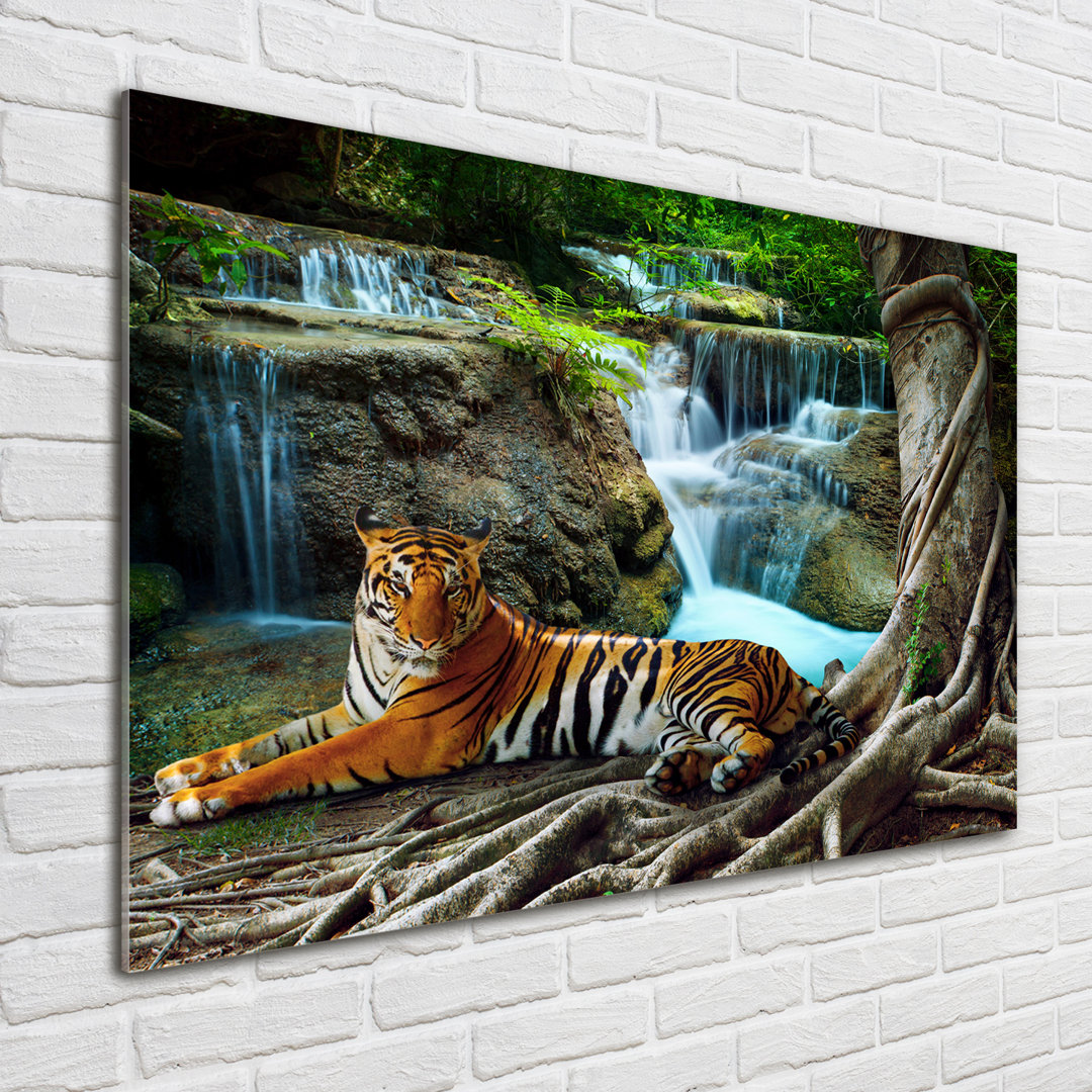 Tiger Waterfall - Ungerahmter Kunstdruck auf Glas