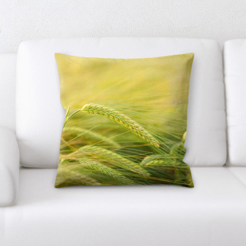 Coussin en orge