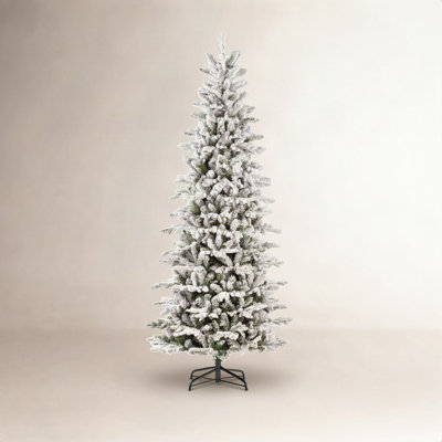 Frosted Wistler Spruce Spruce Tree