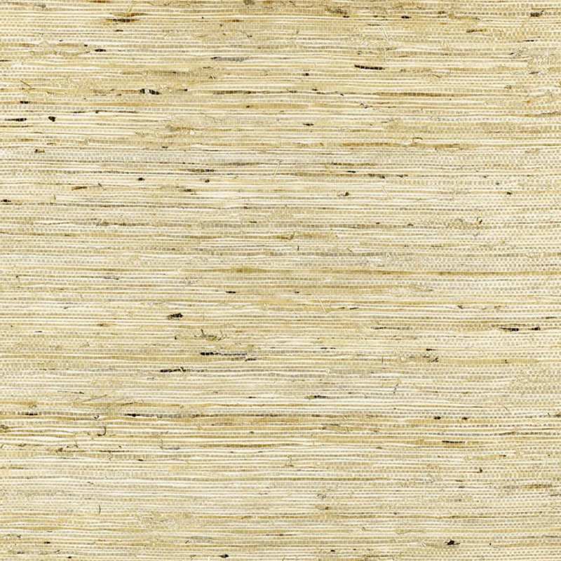 Sonota Arrowroot Wallpaper
