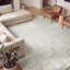 Area Rug-1586878908